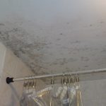 HOW TO REMOVE AND PREVENT MOULD FROM BATHROOMS