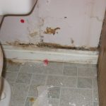 HOW TO REMOVE AND PREVENT MOULD FROM BATHROOMS