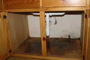 Find The Mould In Your Bathroom